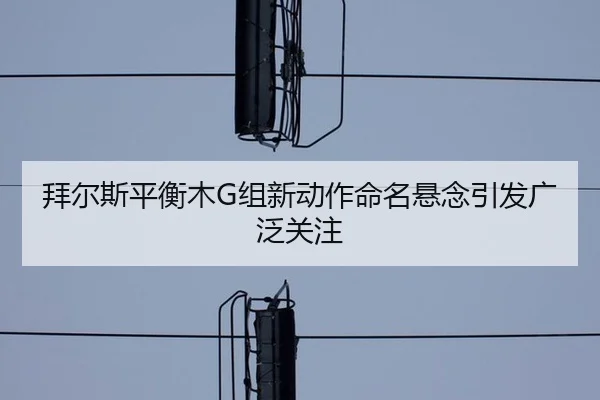 bai-er-si-ping-heng-mu-zu-xin-dong-zuo-ming-ming-xuan-nian-yin-fa-guang-fan-guan-zhu-2-542.jpg