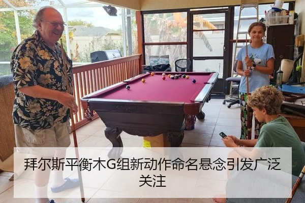 bai-er-si-ping-heng-mu-zu-xin-dong-zuo-ming-ming-xuan-nian-yin-fa-guang-fan-guan-zhu-3-652.jpg